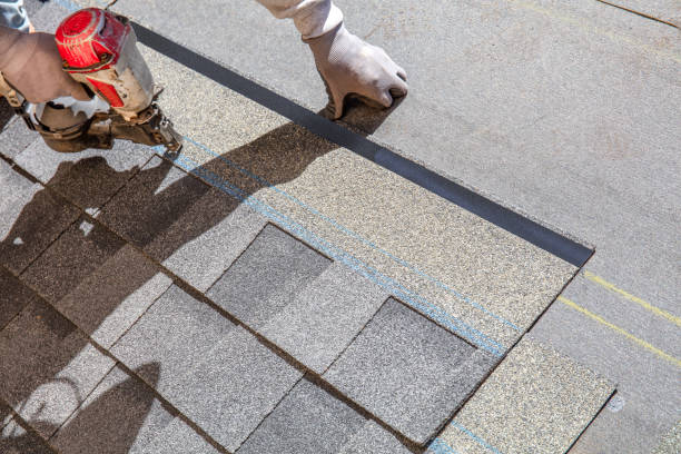 Best Roof Gutter Cleaning  in Del Aire, CA